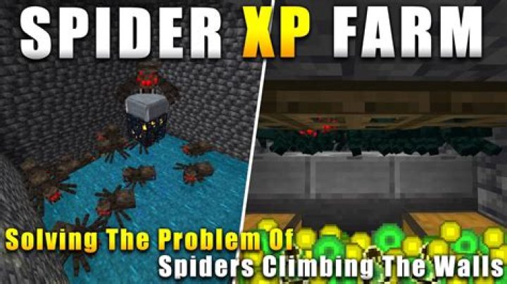 Can Minecraft spiders climb upside down?