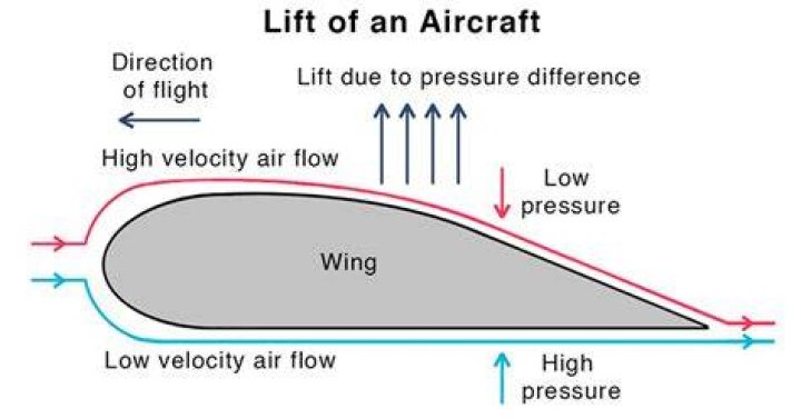 Do plane fly above tropopause?