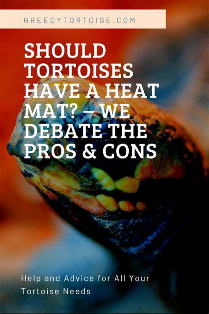 Do tortoise need to be refrigerated?
