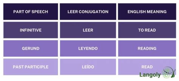 Does Leer mean to read?