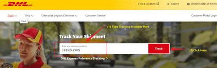 How long does DHL Tracking take to update?
