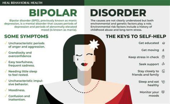 Is bipolarism a word?