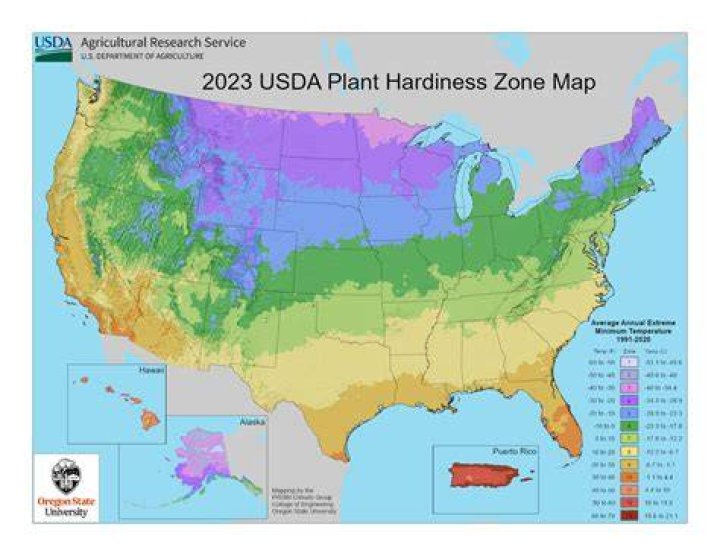 What are usda zones?
