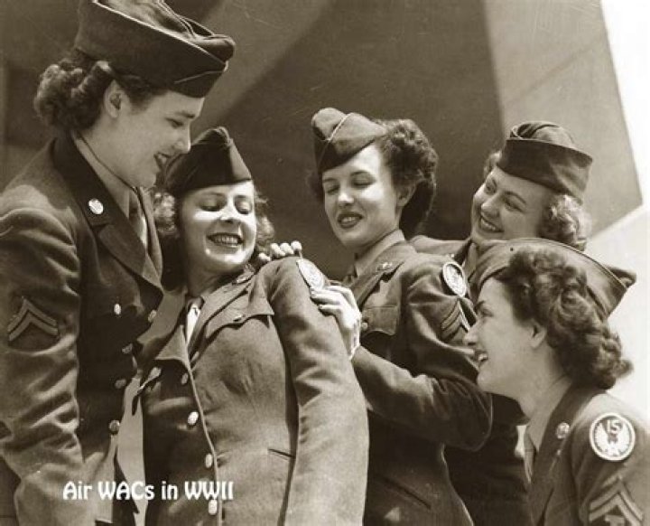 What did WACs do?