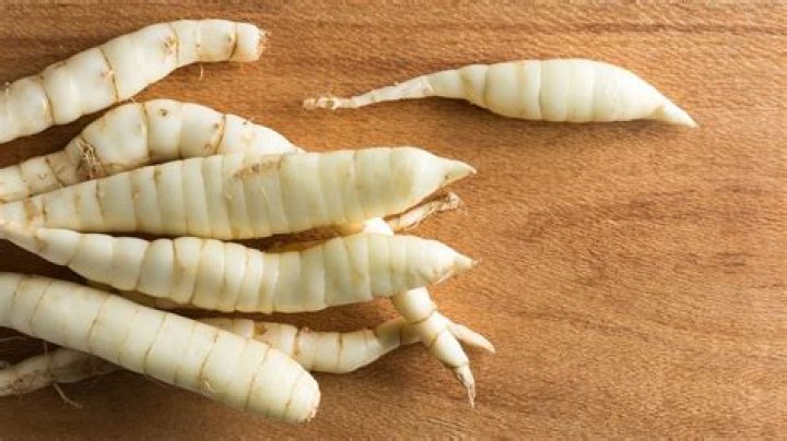 Where would arrowroot starch be in a grocery store?